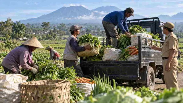 Ilustrasi petani memuat hasil panen ke kendaraan bersama petugas pendamping